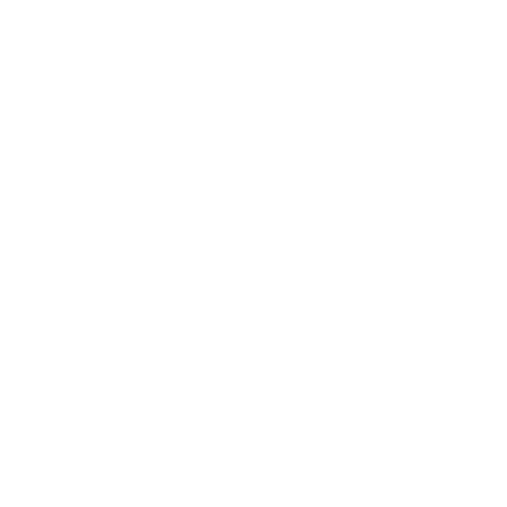 TheNewEra Logo